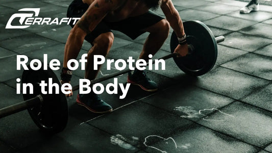 Role of Protein in the Body