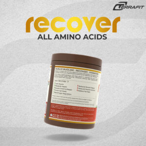 RECOVER - PINEAPPLE PUNCH - Image 3