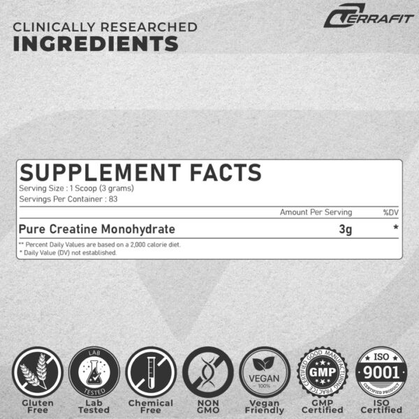 Creatine Power Surge Terrafit