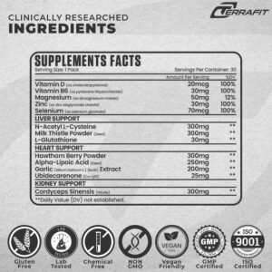 TERRAFIT SHIELD SUPPLEMENT (30 PACKS) - Image 2